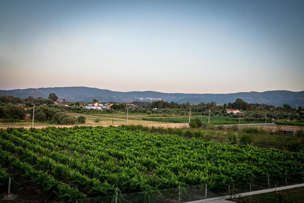 Quinta Das Oliveiras Turismo Rural ฟุงเดา ภายนอก รูปภาพ